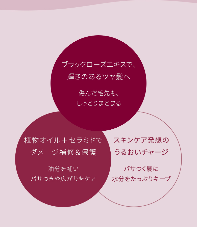 ブラックローズエキスで、輝きのあるツヤ髪へ 傷んだ毛先も、しっとりまとまる／植物オイル＋セラミドでダメージ補修＆保護 油分を補いパサつきや広がりをケア／スキンケア発想のうるおいチャージ パサつく髪に水分をたっぷりキープ